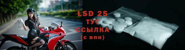 ГАЛЛЮЦИНОГЕННЫЕ ГРИБЫ Нея