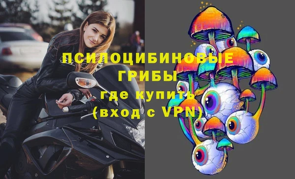 каннабис Аркадак