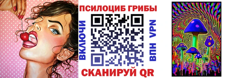 Псилоцибиновые грибы мухоморы hydra сайт Перевоз где купить наркотик